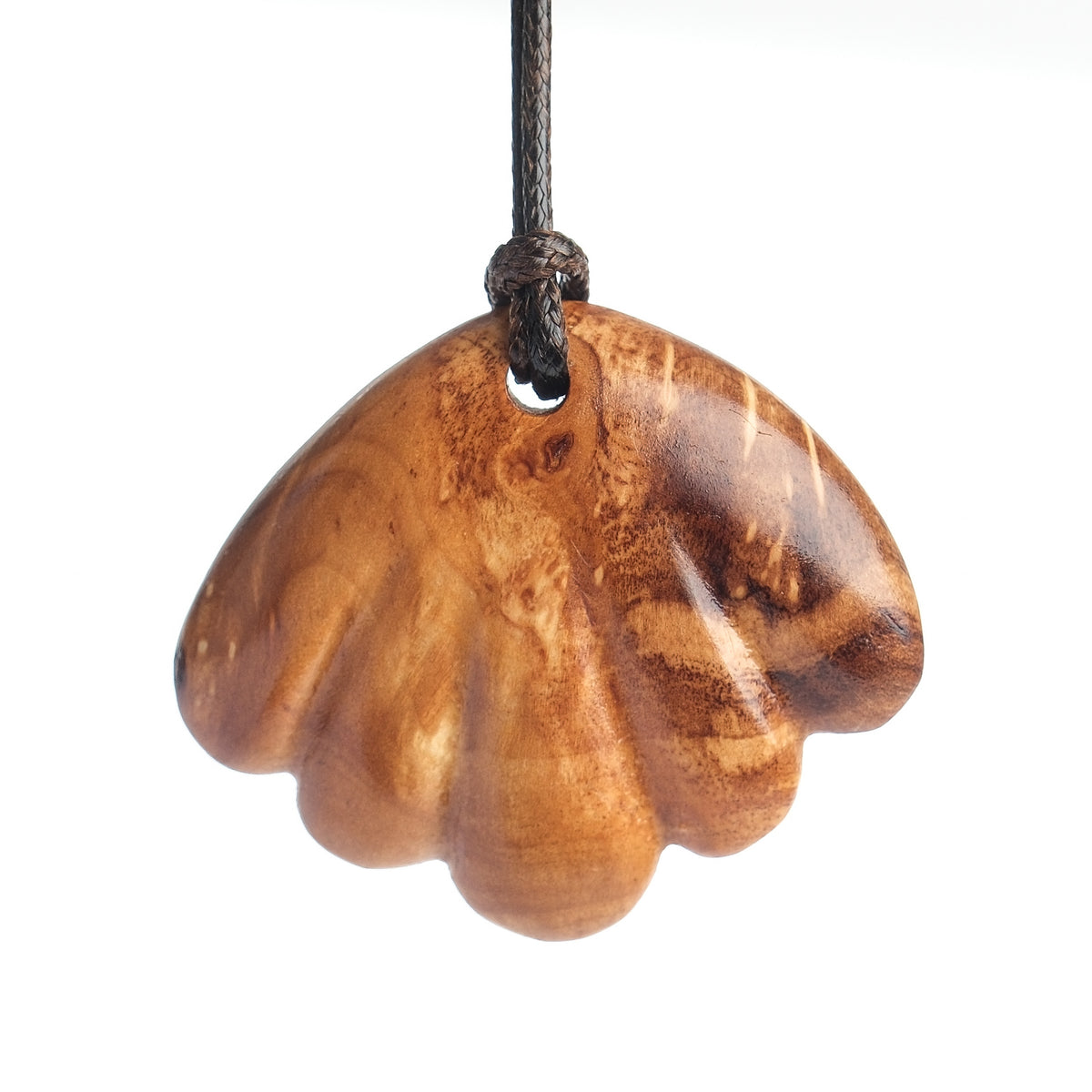 Shell of the journey (textured)